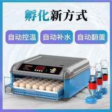 孵化机孵蛋浮蛋器鹌鹑家用孵蛋器芦丁鸡孵化器控温水床鹌鹑蛋小型