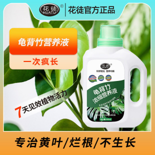 Special Concentrated Nutrient Solution for Bambusa Tortoiseshell Household Green Leaf Plant Pot Flower Anti-yellow Leaf Universal genuine goods Fertilizer