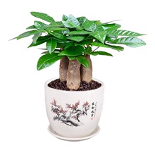 �lؔ��С���Ի��ܾGֲ���k���҃�����ȩ�G�}����ˮ����B�͏d��ؔ