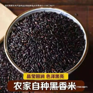 �|������500���r���Ԯa���׺��������峣��Ŵ���״����s�Z