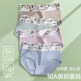 十A抗菌大码内裤女纯棉高腰印花无痕少女全棉裆三角裤少女款批发