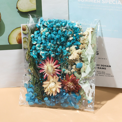 Dry Flower Fan DIY Everlasting Flower Material Kit DIY Picture Frame Sticker Floating Mother's Day Flower Arranging Class Bagged Flower Materials