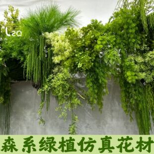 ɭϵ�Gֲ���滨�Ļ�c��Y�õ�픻�ˇ���洹��һ���ĉ����˜I�ٻ�