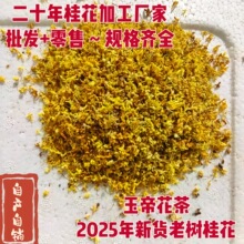 �V������2025��؛�𻨲��B������~�𻨲�𻨸���ϻ����r��