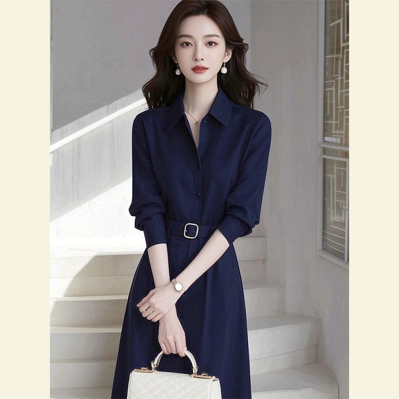 正式场合女装收腰连衣裙2025新款大方得体新款气质蓝色a字裙子秋|undefined