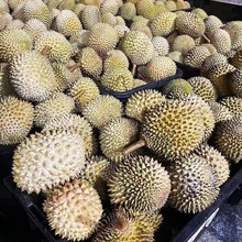 �M���R������D197؈ɽ����ɏBB10�^�����r�����쎧��Һ��������l