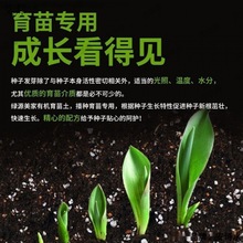 Nֲ߹NN˵ĠIBֲN෨B