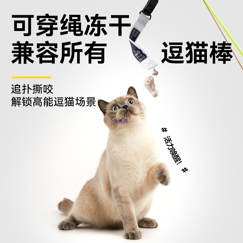 [Breaking New Product] Fishing Master Yogurt Salmon Nutritious and Delicious Fishing Freeze-Dried Cat Snacks