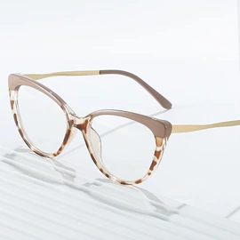 太阳镜;框架眼镜;老花镜