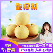 【严选】安徽皇冠梨 代发3斤大果酥脆多汁香梨新青皮梨新鲜水果