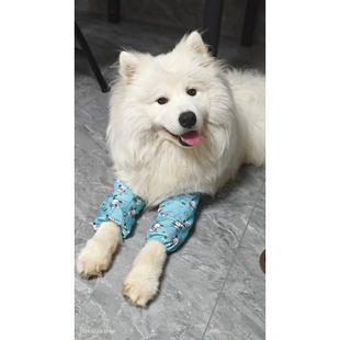 ���ļ��д��͹���ǰ���o���oϥ�P�����׷����ĥ������ë��������