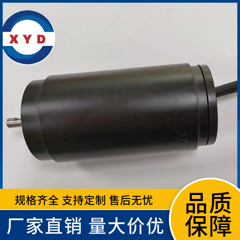 Xuyida 4260 Micro Brushless Dc 12V24V High Torque Juicer Motor Efficient Brushless High Torque