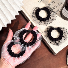 �ڰײ��c���ݼ��lȦ�n�����ɾW�����cȦ���|��̖�¿��^���l�K�l�