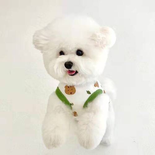 Dog Harness Teddy is more expensive than Panda Mops Shih Tzu Pomeranian Schnauzer Poodle Small Dog Pet Clothes Summer Thin Version