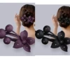 Фиолетовый, Чёрный