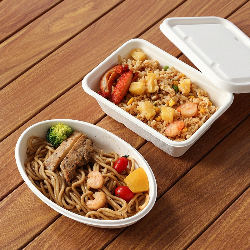 Vajilla de pulpa de caña de azúcar desechable Caja cuadrada degradable Caja de embalaje Ensalada de picnic para llevar Caja de almuerzo de pulpa