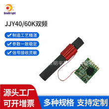 Sl_l{ԇAGCƵĆplRCC늲RģM|r