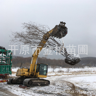 ��l�ʻ������l�������Ǘ���侰�^�е���|����l��5-10��֦�Ϙ�