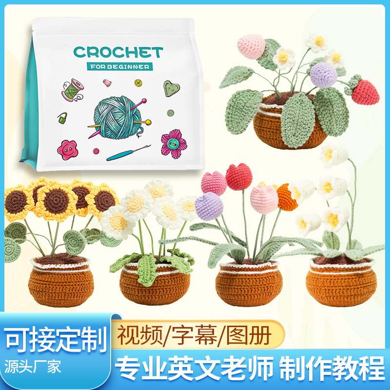 钩针材料包英文说明书手工编织DIY大盆栽毛线桌面摆件亚马逊热销