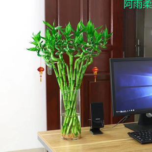 ����ˮ��ֲ���D�\���F���_�\��ˮ�B�͏d������������ؔ�҃�