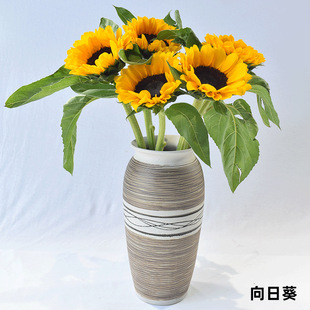 [Sunflower] Father's Day Teacher's Day Oil Painting Double Petal Teddy Directly Shipped from Kunming Fresh Flowers Teddy Sunflower