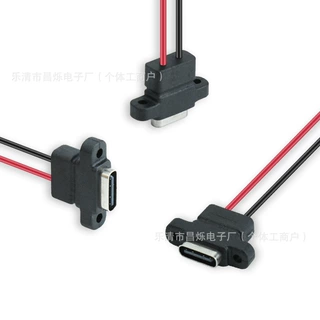 LN-003 5VUSB-C接口充电母座 2P注塑 阻燃PVC 电器产品TYPE-C插座