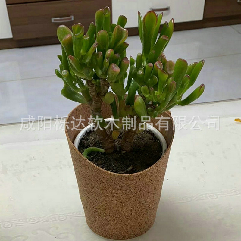 处理 01