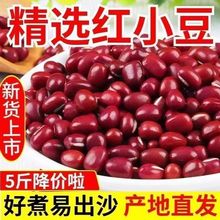 新货红小豆批发农家自产红豆蜜豆五谷杂粮红豆薏米非赤小豆厂家