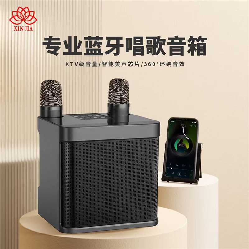 Germany 2025 New Yf Cross-Border Hot-Selling Karaoke 203 Audio Dual-Mic Outdoor Portable Karaoke Machine Wireless Bluetooth Audio