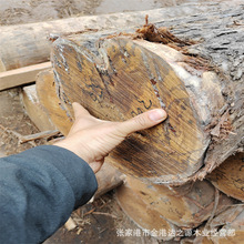 批发澳洲油柏原木 寿材 料 工艺品材 家装材 20到30口径