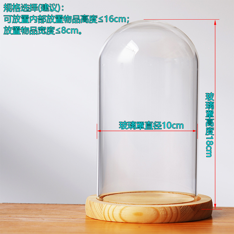 Cubierta cilíndrica de vidrio transparente sin lámpara de madera de estilo inmortal cubierta de polvo de flores hecha a mano decoración creativa de escritorio de bloques