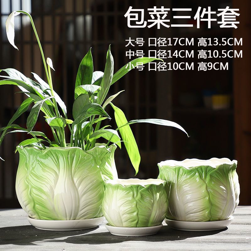 양배추 3종 세트