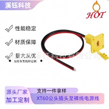 PXT60mb|12AWGXT60㾀Դ