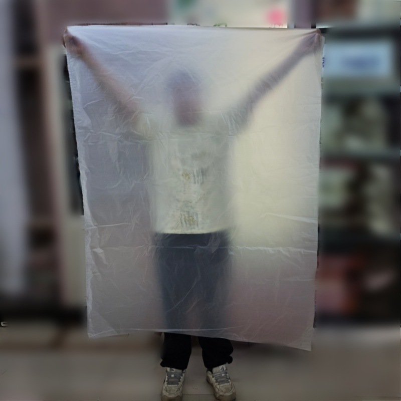 主5