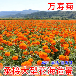 �f�۾ջ��N�ջ��N���ļ��׻���҃������ͥԺ������ԷN�ѻ���