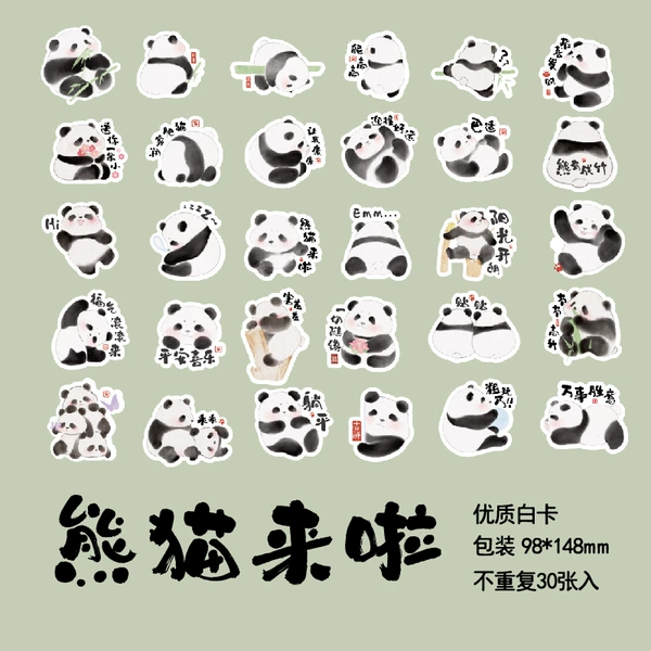 Panda is here (30 photos)