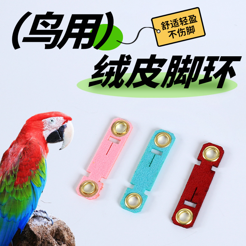 鳥腳鏈皮套腳環鸚鵡護腳喜鵲烏鴉八哥鷯哥鷹鴿子單腳套鏈絨皮腳套
