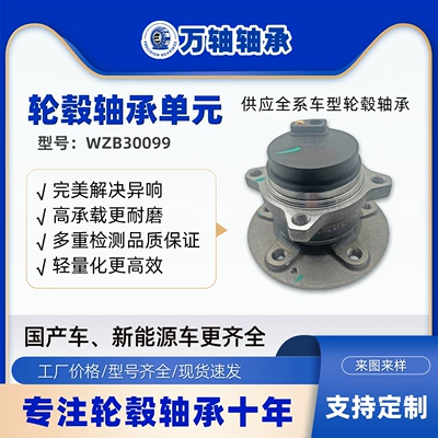 Dongfeng AX7 üçün Arxa Təkər Oxu Yataq Bloku E240310J-D0200
