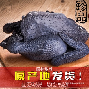 ɢ�B�����u�F�����r���u�r�Ҟ��uС���u���u���r��ĸ�u�ߵ��u��ֻ