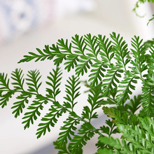 ķާާֲT҃kҕ߅GֲBļ