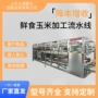 成套大型剥皮水果扒皮机