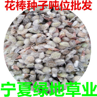 ���l�����N�Ӽ�֦���S�ηN�ӷ��L��ɳ�����o�·N�ј仨�ѾG����ľ