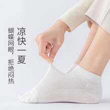 ����Ůʿ�ļ���������͸��Ů�������촿ɫ����Ů���KBP