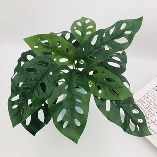 ���R�d����ֲ����������Gֲ�~�Ӡ������~�����~�����~�߷�������