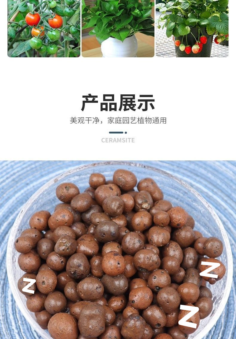 f636e5d7-8d69-4243-abcd-11fe0b833335.jpe