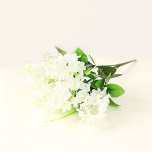 �L���ӏS�Ұ�ɫ�͏d���W�������滨�ٻ����l�Ҿ��b����ϔzӰ