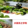 学堂3.5g路亚饵翘嘴铅笔