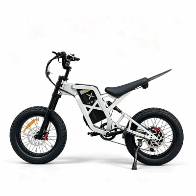 best-selling high-speed off-road vehicle, Elektrikli motosikletlər