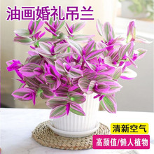 ͮYmС¶m҃kһܾGֲˮഹl