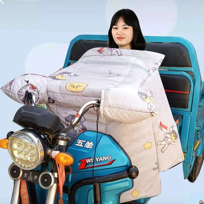 Thickened and Windproof and Warm – Motorcycle front windshield - electric-three-wheeler-dual-series-flank-astronaut